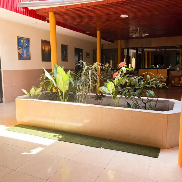 Patio del hotel con vegetación