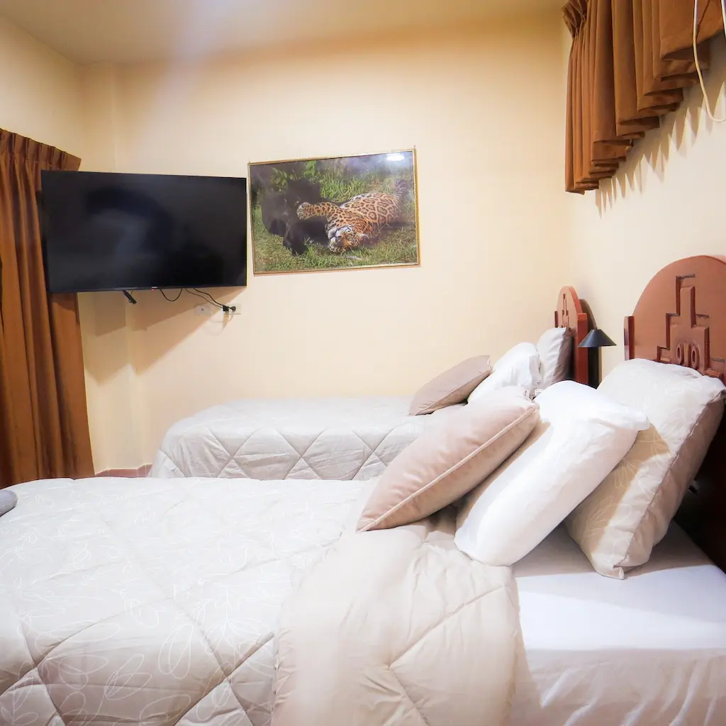 Single/double room